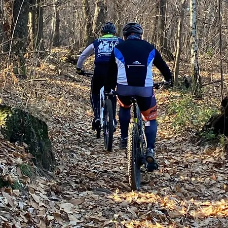 Gisa With Private Pool